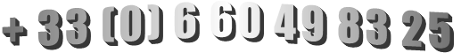 + 33 (0) 6 60 49 83 25